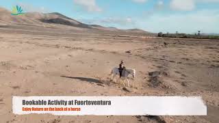 Horseriding in Fuerteventura