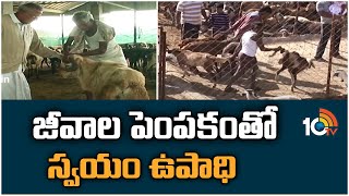 జీవాల పెంపకంతో స్వయం ఉపాధి | Self-employment with animal husbandry | Matti Manishi | 10TV