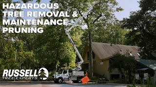 Hazardous Tree Removal and Maintenance Pruning for National Park Service!