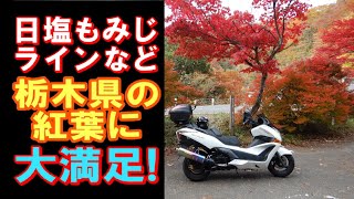 20201028日塩もみじラインツーリング　バイク：シルバーウイングＧＴ６００　霧降高原道路　大笹牧場レストハウス　瀬戸合峡　野岩鉄道　リバティ会津　塩那スカイライン