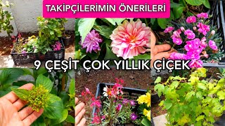 TAKİPÇİLERİMİN ÖNERDİĞİ ÇİÇEKLERİ ALDIM💯👍Yasemin-Kartopu-Yıldız-Acem halısı🌷🍀 #çiçeklerim #flowers