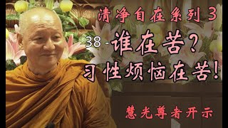 （中文字幕）清净自在系列 3 - 38 谁在苦？习性烦恼在苦! Who’s suffering? Habits and afflictions are suffering.