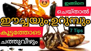 7 അടുക്കള Tips. ഉറുമ്പ്,ഈച്ച,കൊതുക് ഇവയെകണ്ടംവഴി ഓടിക്കാൻ! How to remove ants,houseflies,Mosquitoes?