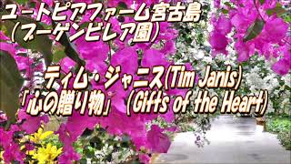 Gifts of the Heart(Tim Janis)：映像：「ユートピアファーム宮古島」（沖縄県宮古島市）