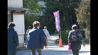 糸島の牡蛎と桜井神社産廃