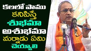 కలలో పాము కనిపిస్తే శుభమా అశుభమా మర్నాడు ఏమి చెయ్యాలి || Sri Chaganti koteswara rao About Snakes