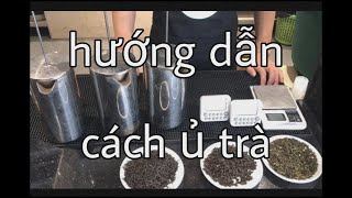 HƯỚNG DẪN CÁCH Ủ TRÀ CHUẨN VÀ ĐƠN GIẢN NHẤT | FLAMINGO COFFEE