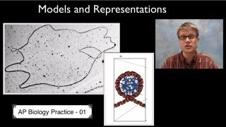 AP Biology Science Practice 1: Models and Representations