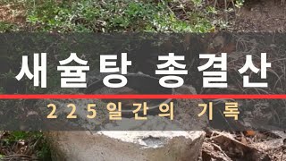 [새슐탕 총결산] 8개월간 동네 뒷산에 물그릇을 갖다 두면 생기는 일 Ep.188