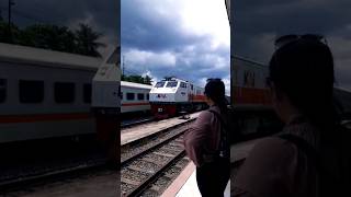 Kereta Api Lokal PANDANWANGI, Jember-Banyuwangi #shorts #keretaapi #rungkad #weekend #yearofyou #KAI