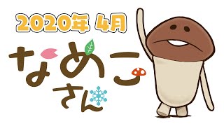 【日常】なめこさん 2020年4月のまとめ