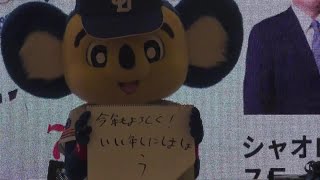 ドアラステージショー （午前）　新春ドラゴンズ応援イベント inイオンモール土岐　2024年は辰年！がんばれドラゴンズ！！