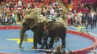 CIRCUS ELEPHANTS: Elephant Rides Onboard Asian \u0026 African Elephants, CANTON TADMOR SHRINE, 3/24/18.