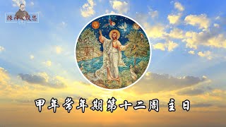 #陳神父默思日記 | 甲年常年期第十二週 主日  |  主講 : 陳新偉神父 2023.06.25