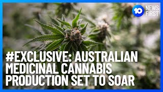 #Exclusive: Australian Medicinal Cannabis Production Set To Soar | 10 News First