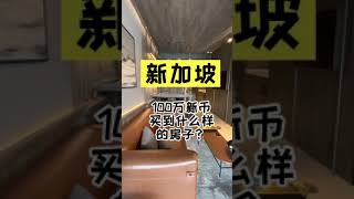 在新加坡，100万新币可以买到什么样的房子？