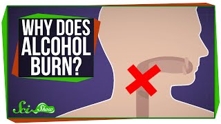 Why Does Alcohol Burn When You Drink It?