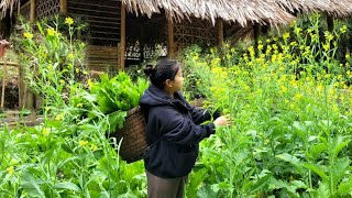 The girl alone harvests the vegetable garden - makes pickles - cooks at home in the deep forest.