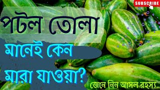 পটল তোলা মানেই কেন মারা যাওয়া?? জেনে নিন আসল রহস্য || Learn \u0026 Gain