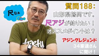 【アジング】質問 [ 188 ]：山形県鶴岡です。尺アジのオススメポイントは？【３４家邊に聞け！】