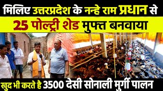 प्रधान जी खुद 3500 DESI SONALI MURGI PALAN करते है और गाँव में 25 पोल्ट्री फार्म शेड मुफ्त बनवा दिया