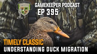 EP:395 | [Timely Classic 119] Understanding Duck Migration