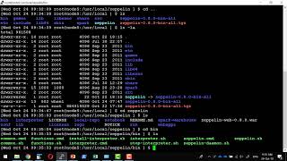 Apache Zeppelin Installation