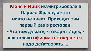 ✡️ Еврейские Иммигранты в Париже! Еврейские Анекдоты! Анекдоты про Евреев! Выпуск #161