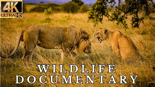 Wildlife 4k Documentary: Discover the Secrets of the Animal Kingdom-Exploring the Animal Kingdom