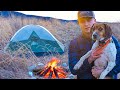 Overnight Camping and Hunting with My Dogs