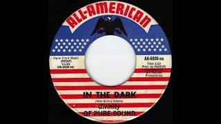 Divinity Of Pure Sound - In The Dark (1969)