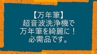 「ペリカンの万年筆」を「超音波洗浄機」で洗ってみたらすごかった。