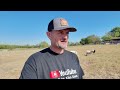 check out our new kiko bucks performance tested kiko goats goat video