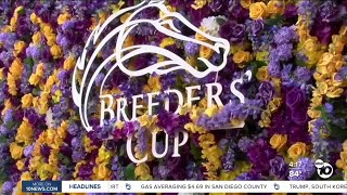 Track officials outline safety measures at Del Mar ahead of Breeders' Cup