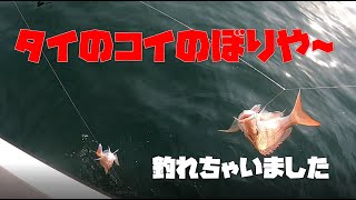 【gopro7】瀬戸内海の手島付近でタイサビキしてみた。