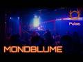 MONDBLUME | Hard Techno / Industrial @ PULSE. (Alte Kaserne, Zürich)