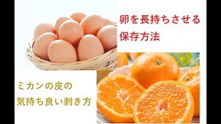 卵の長期保存方法＆ミカンの気持ち良い皮の剥き方　How to Save the eggs.　Peel the way of the skin of feeling good oranges.