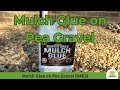 Mulch Glue for Pea Gravel ☀️ (S4E3)