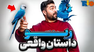 طوطی منقرض شده ، احیا شد || مستند واقعی کارتون ریو || ماکائو اسپیکس