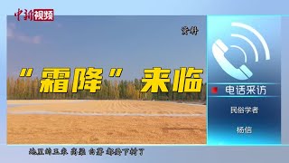 “霜降”来临：古人爱登高赏菊 今人更注意养生