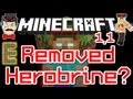 Minecraft 1.1 HEROBRINE ?