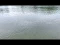 mont royal park lake with relaxing rain view