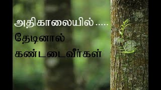 கர்த்தரை தேடுங்கள் | Tamil Christian message