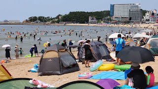 폭염 속 피서 절정…바닷바람 맞으며 해수욕장에 풍덩 / 연합뉴스TV (YonhapnewsTV)