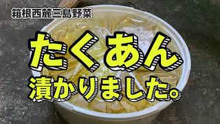 20201228たくあん漬け