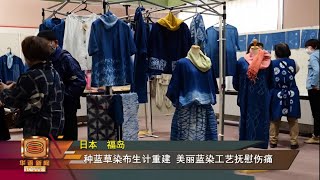 【走出福岛核污染噩梦 蓝染开创农民新出路】