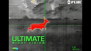 FLIR InstAlert - Viewing Deer with the FLIR RS64 2X 60mm