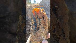 Outlaw Rocks Mining Oregon Fire Opal outlawrocksllc.com #outlawrocks  #mining #crystals #fyp #gems