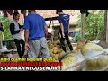 Beli durian langsung ke petani kampung durian karangsono