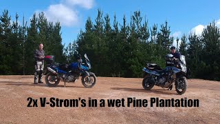 2x V-Strom 650's in a wet Pine Plantation